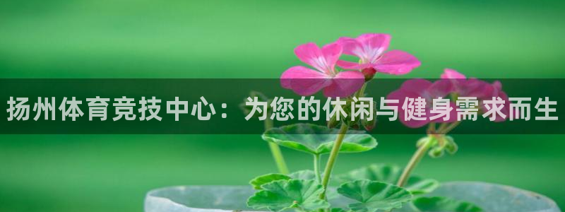 3377体育官方正版app集团E.ON：扬州体育竞技中心：为