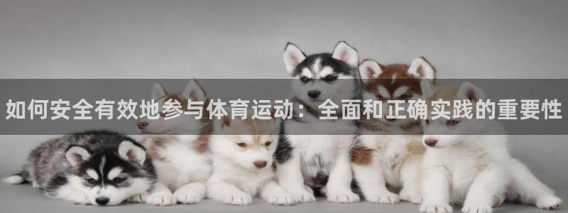 3377体育官网下载平台假的吗是真的吗：如何安全有效地参与体