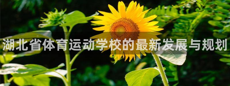 3377体育官方正版app娱乐首页官网下载：湖北省体育运动学
