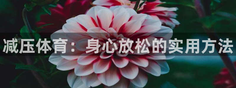 3377体育官网下载招商电话号码是多少啊：减压体育：身心放松
