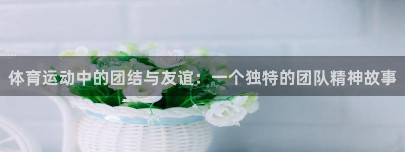 3377体育官方平台体育：体育运动中的团结与友谊：一