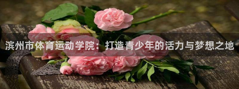 3377体育官方正版app娱乐40996
