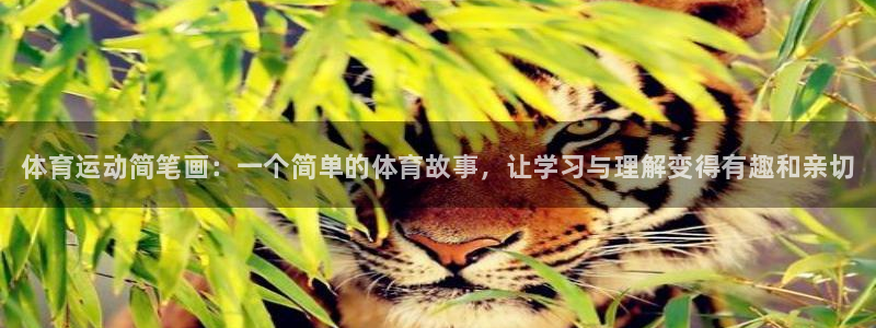 3377体育官方正版app集团官网首页：体育运动简笔画：一个