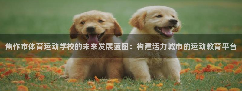 3377体育官网下载平台注册：焦作市体育运动学校的未来发展蓝