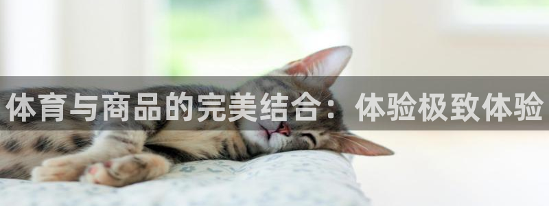 3377体育官网下载平台是正规平台吗安全吗：体育与商品的完美