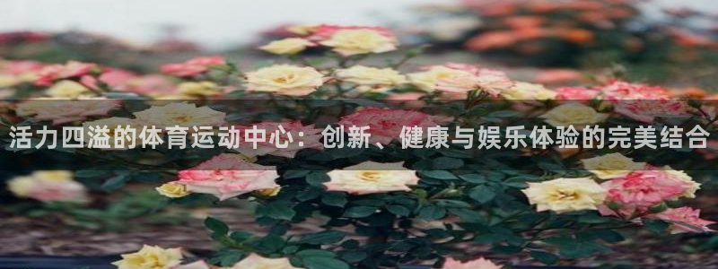 3377体育官网