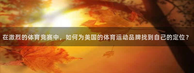 3377体育游戏：在激烈的体育竞赛中，如何为美国的体育运动品