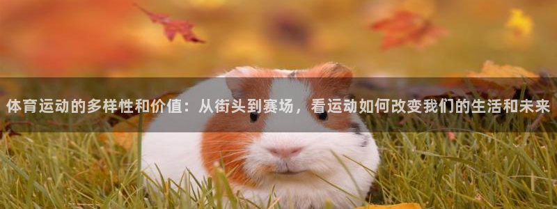 3377体育是哪的