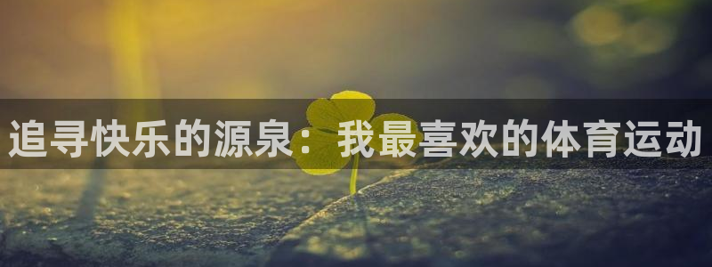 3377体育是哪的：追寻快乐的源泉：我最喜欢的体育运动