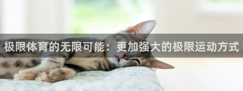 3377体育提款容易通过吗为什么：极