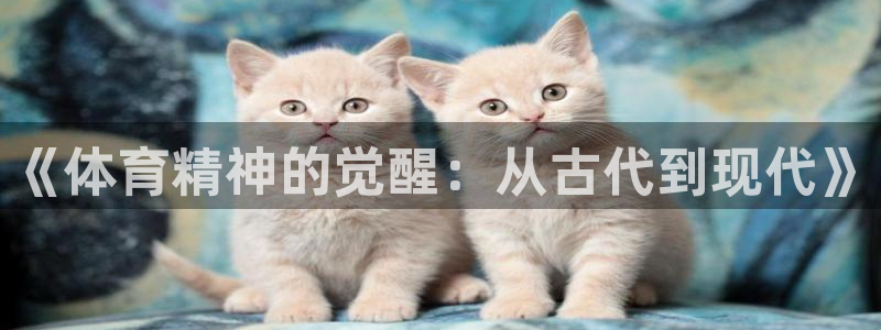 3377体育骗了多少人：《体育精神的