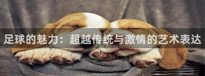 3377体育是哪的：足球的魅力：超越