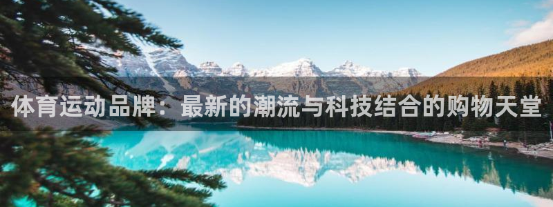3377体育十大必吃榜：体育运动品牌：最新的潮流与科技结合的