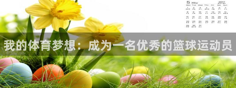  3377体育手机平台：我的体育梦想：成为一名优秀的篮球运动员