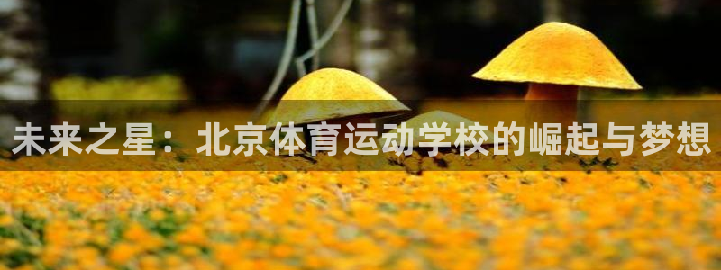 3377体育被国家取消了吗今天：未来