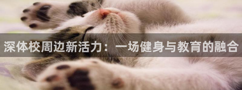 3377体育平台正规吗怎么样：深体校