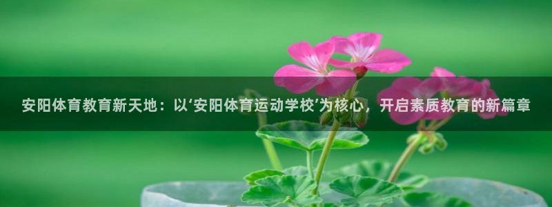  3377体育属于国家打击范围吗：安阳体育教育新天地：以‘安阳