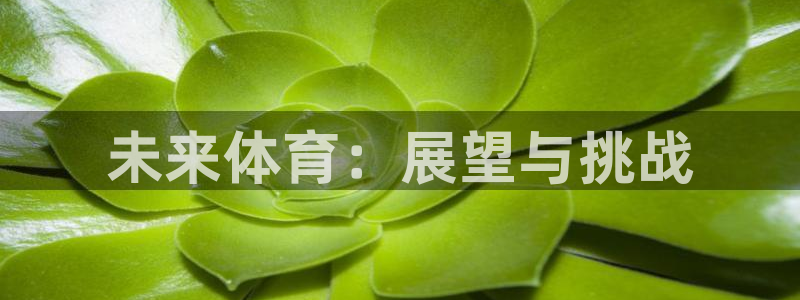 3377体育犯法吗：未来体育：展望与挑战