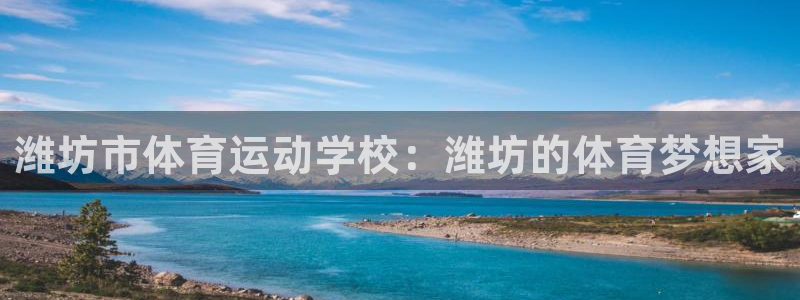 3377体育提款失败的原因分析：潍坊市体育运动学校：潍坊的体