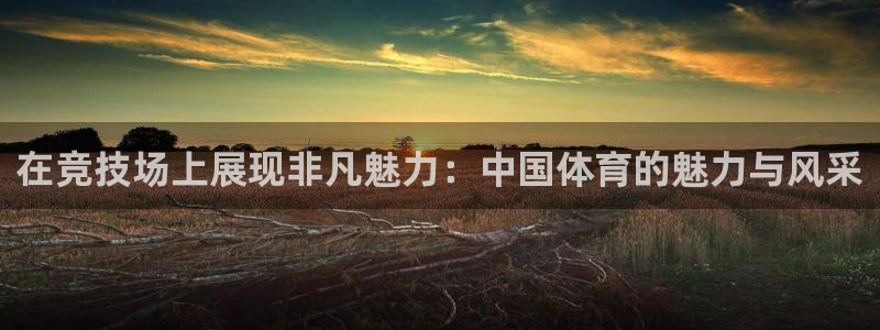 3377体育能爆吗：在竞技场上展现非