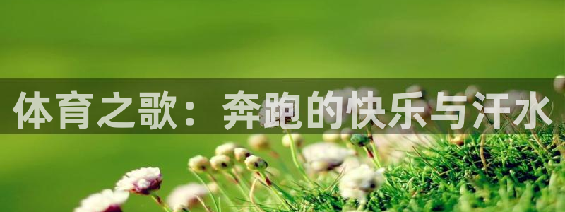 3377体育最害怕三个东西：体育之歌：奔跑的快乐与汗水