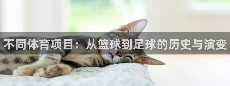 3377体育什么台子：不同体育项目：从篮球到足球的历史与演变